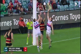 image tagged in gifs | made w/ Imgflip video-to-gif maker