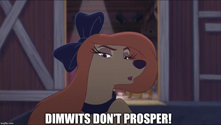 Dimwits Don't Prosper!  | DIMWITS DON'T PROSPER! | image tagged in dixie tough,memes,the fox and the hound 2,reba mcentire,dog | made w/ Imgflip meme maker