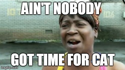 AIN'T NOBODY  GOT TIME FOR CAT | image tagged in memes,aint nobody got time for that | made w/ Imgflip meme maker