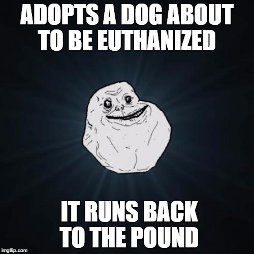 Forever Alone | ADOPTS A DOG ABOUT TO BE EUTHANIZED; IT RUNS BACK TO THE POUND | image tagged in memes,forever alone | made w/ Imgflip meme maker