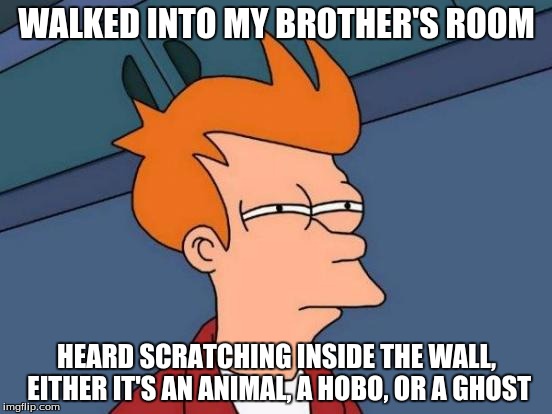 True story, I assume it's most likely an animal, no way a person could be living in the wall. | WALKED INTO MY BROTHER'S ROOM; HEARD SCRATCHING INSIDE THE WALL, EITHER IT'S AN ANIMAL, A HOBO, OR A GHOST | image tagged in memes,futurama fry | made w/ Imgflip meme maker