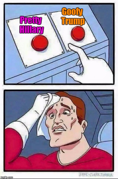Not a hard decision, folks! | Goofy Trump; Pretty Hillary | image tagged in hard choice to make | made w/ Imgflip meme maker