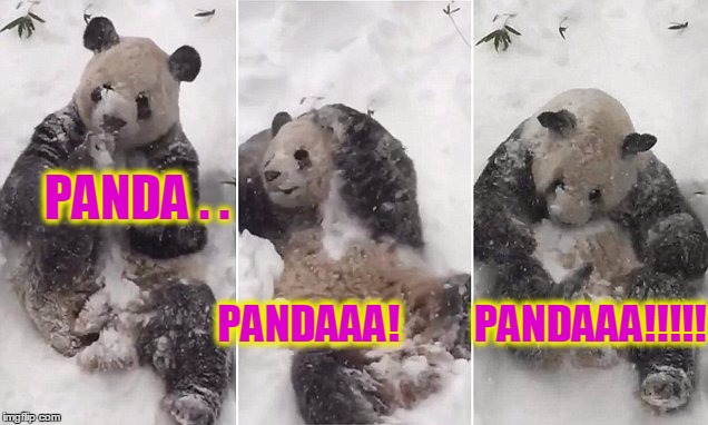 #BlizzardJonas2016 #WinterStormPanda #TianTianSnowmageddonPanda | PANDA . . PANDAAA!         PANDAAA!!!!! | image tagged in blizzardjonas2016 winterstormpanda tiantiansnowmageddonpanda | made w/ Imgflip meme maker