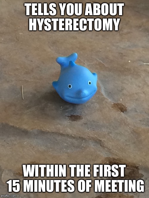 TELLS YOU ABOUT HYSTERECTOMY; WITHIN THE FIRST 15 MINUTES OF MEETING | image tagged in polite dolphin | made w/ Imgflip meme maker