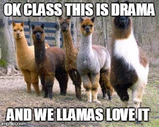 Drama Llama 101 | OK CLASS THIS IS DRAMA; AND WE LLAMAS LOVE IT | image tagged in drama,llama | made w/ Imgflip meme maker