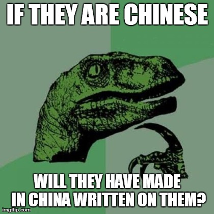 Philosoraptor Meme | IF THEY ARE CHINESE WILL THEY HAVE MADE IN CHINA WRITTEN ON THEM? | image tagged in memes,philosoraptor | made w/ Imgflip meme maker