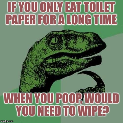 Philosoraptor Meme | IF YOU ONLY EAT TOILET PAPER FOR A LONG TIME; WHEN YOU POOP, WOULD YOU NEED TO WIPE? | image tagged in memes,philosoraptor | made w/ Imgflip meme maker