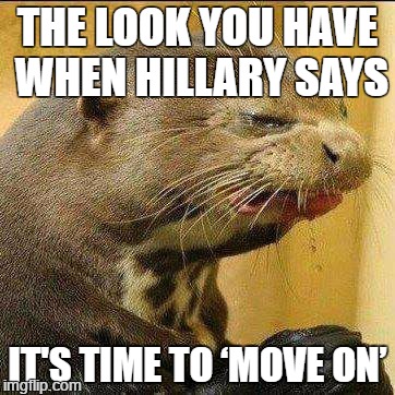 Disgusted Otter | THE LOOK YOU HAVE WHEN HILLARY SAYS; IT'S TIME TO ‘MOVE ON’ | image tagged in disgusted otter | made w/ Imgflip meme maker