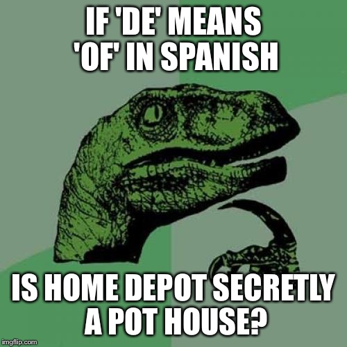 Philosoraptor | IF 'DE' MEANS 'OF' IN SPANISH; IS HOME DEPOT SECRETLY A POT HOUSE? | image tagged in memes,philosoraptor | made w/ Imgflip meme maker