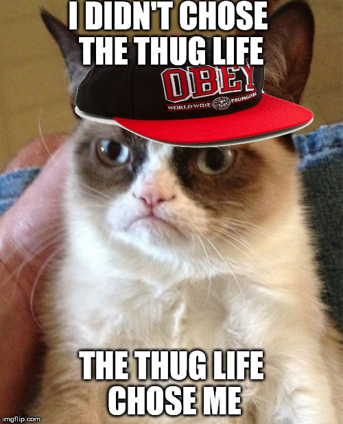 Grumpy Cat | I DIDN'T CHOSE THE THUG LIFE; THE THUG LIFE CHOSE ME | image tagged in memes,grumpy cat | made w/ Imgflip meme maker