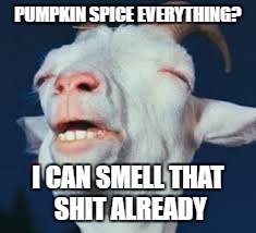 PUMPKIN SPICE EVERYTHING? I CAN SMELL THAT SHIT ALREADY | image tagged in pumpkin spice,smelly,only june | made w/ Imgflip meme maker
