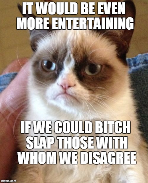 Grumpy Cat Meme | IT WOULD BE EVEN MORE ENTERTAINING IF WE COULD B**CH SLAP THOSE WITH WHOM WE DISAGREE | image tagged in memes,grumpy cat | made w/ Imgflip meme maker