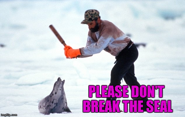 Bad Shark Pun - Imgflip
