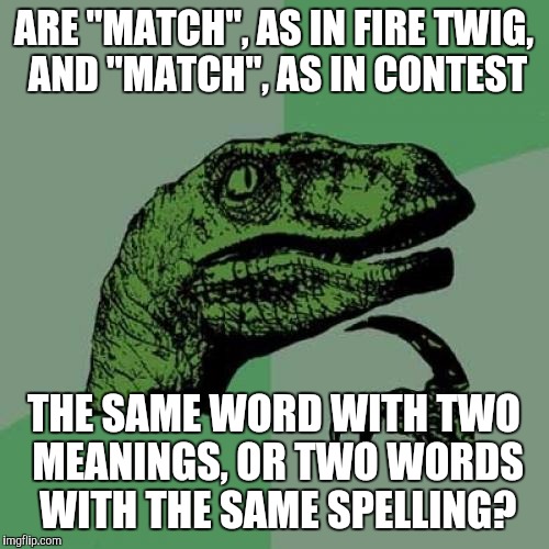 Philosoraptor Meme | ARE "MATCH", AS IN FIRE TWIG, AND "MATCH", AS IN CONTEST; THE SAME WORD WITH TWO MEANINGS, OR TWO WORDS WITH THE SAME SPELLING? | image tagged in memes,philosoraptor,AdviceAnimals | made w/ Imgflip meme maker