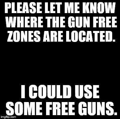 Blank | PLEASE LET ME KNOW WHERE THE GUN FREE ZONES ARE LOCATED. I COULD USE SOME FREE GUNS. | image tagged in blank | made w/ Imgflip meme maker
