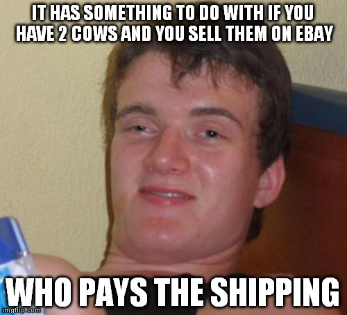 10 Guy Meme | IT HAS SOMETHING TO DO WITH IF YOU HAVE 2 COWS AND YOU SELL THEM ON EBAY WHO PAYS THE SHIPPING | image tagged in memes,10 guy | made w/ Imgflip meme maker