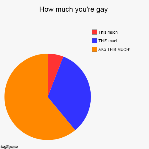 How much you're gay | also THIS MUCH!, THIS much, This much | image tagged in funny,pie charts | made w/ Imgflip chart maker