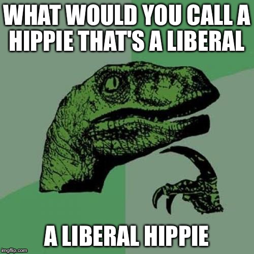 Philosoraptor | WHAT WOULD YOU CALL A HIPPIE THAT'S A LIBERAL; A LIBERAL HIPPIE | image tagged in memes,philosoraptor | made w/ Imgflip meme maker