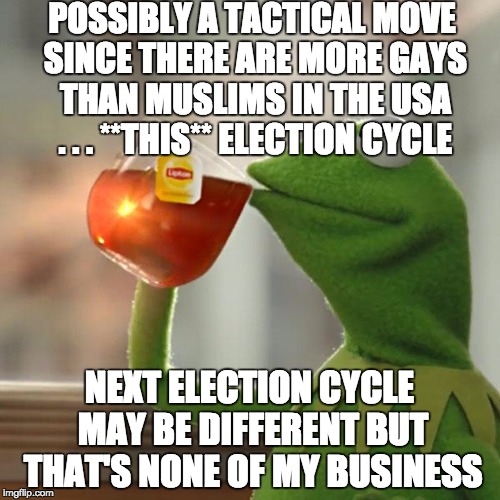 But That's None Of My Business Meme | POSSIBLY A TACTICAL MOVE SINCE THERE ARE MORE GAYS THAN MUSLIMS IN THE USA . . . **THIS** ELECTION CYCLE NEXT ELECTION CYCLE MAY BE DIFFEREN | image tagged in memes,but thats none of my business,kermit the frog | made w/ Imgflip meme maker
