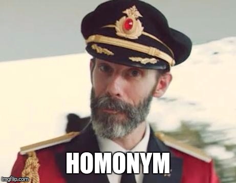  Captain obvious | HOMONYM | image tagged in captain obvious | made w/ Imgflip meme maker