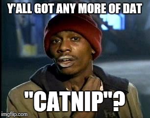 Y'all Got Any More Of That Meme | Y'ALL GOT ANY MORE OF DAT "CATNIP"? | image tagged in memes,yall got any more of | made w/ Imgflip meme maker