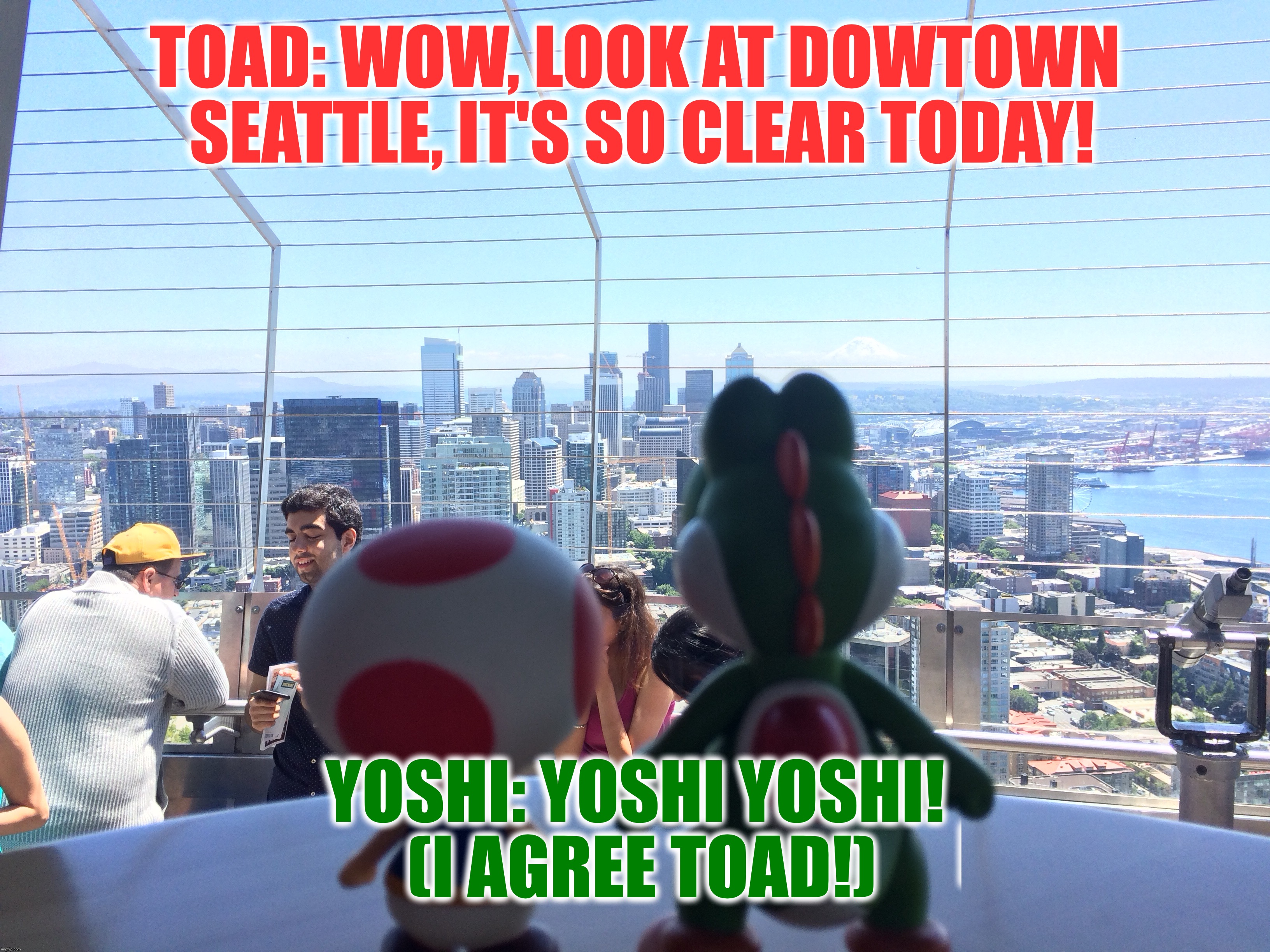 Toad & Yoshi Enjoy The View From The Space Needle | TOAD: WOW, LOOK AT DOWTOWN SEATTLE, IT'S SO CLEAR TODAY! YOSHI: YOSHI YOSHI! (I AGREE TOAD!) | image tagged in memes,funny,seattle,toad,yoshi,space needle | made w/ Imgflip meme maker