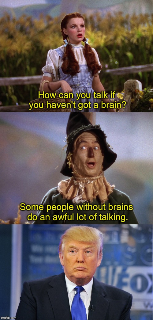 How can you talk if you haven't got a brain? Some people without brains do an awful lot of talking. | image tagged in memes,donald trump,wizard of oz,trump,funny,trump 2016 | made w/ Imgflip meme maker