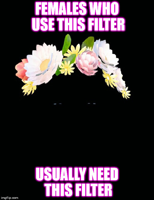 FEMALES WHO USE THIS FILTER; USUALLY NEED THIS FILTER | image tagged in comedy | made w/ Imgflip meme maker