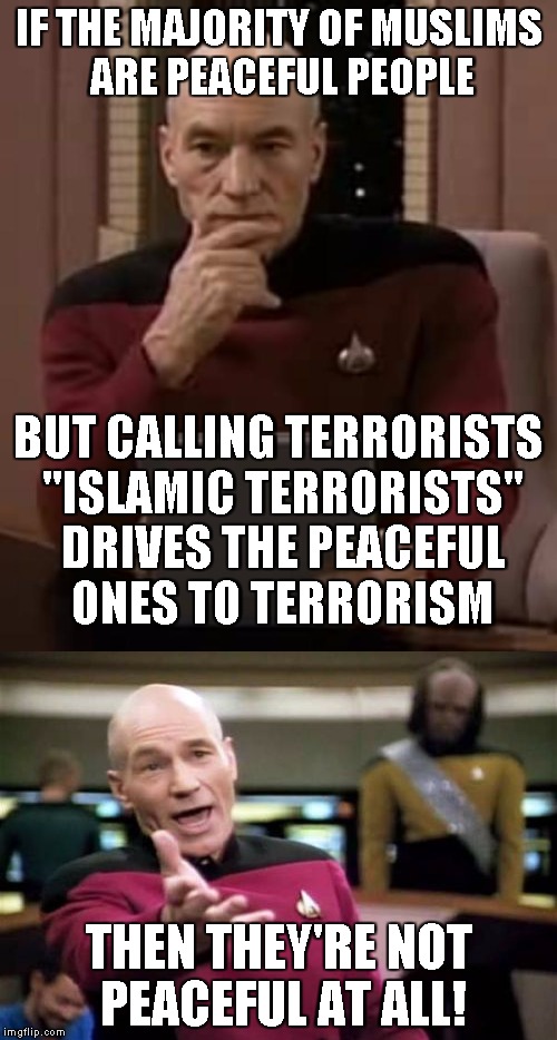 Islam is filled with Peaceful Muslims who will radicalize at the drop of a hat if we're not careful how we describe terrorists?? | IF THE MAJORITY OF MUSLIMS ARE PEACEFUL PEOPLE; BUT CALLING TERRORISTS "ISLAMIC TERRORISTS" DRIVES THE PEACEFUL ONES TO TERRORISM; THEN THEY'RE NOT PEACEFUL AT ALL! | image tagged in islam,terrorism,memes | made w/ Imgflip meme maker