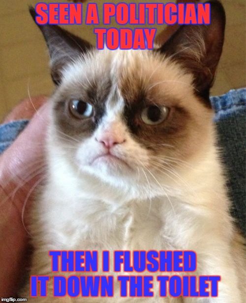 Grumpy Cat Meme | SEEN A POLITICIAN TODAY; THEN I FLUSHED IT DOWN THE TOILET | image tagged in memes,grumpy cat | made w/ Imgflip meme maker