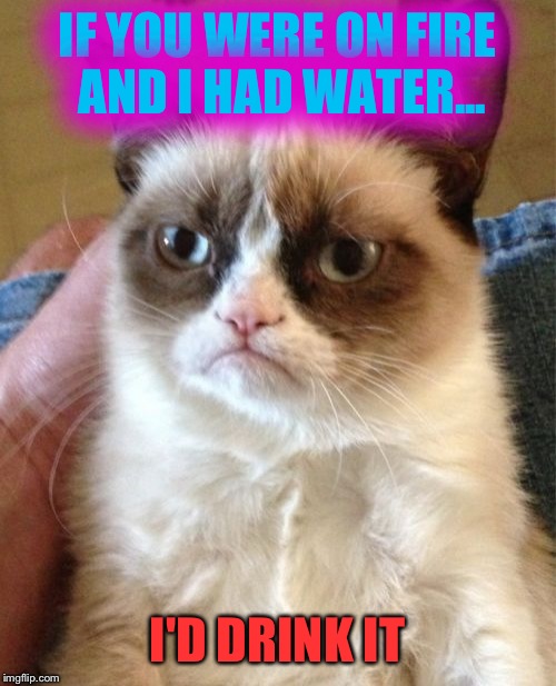 The heat always makes me thirsty. | IF YOU WERE ON FIRE AND I HAD WATER... I'D DRINK IT | image tagged in memes,grumpy cat,funny | made w/ Imgflip meme maker