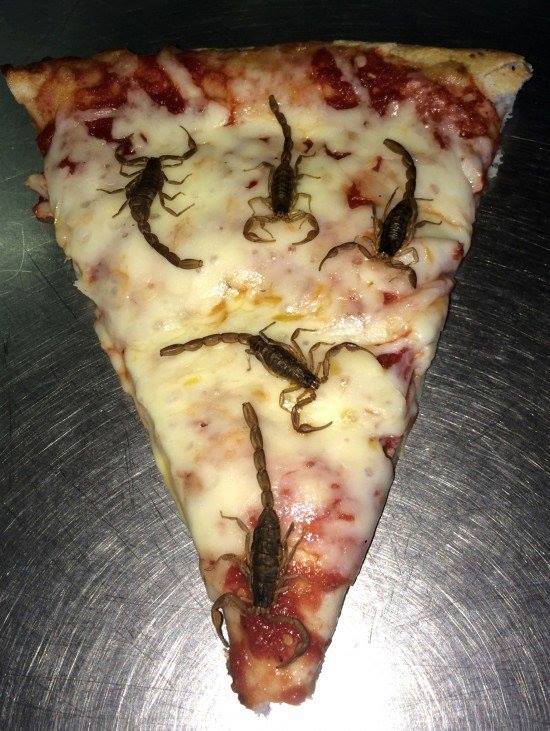 scorpion pizza Blank Meme Template