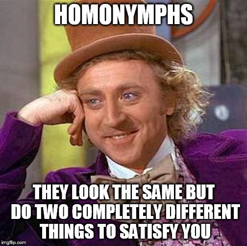Creepy Condescending Wonka Meme | HOMONYMPHS THEY LOOK THE SAME BUT DO TWO COMPLETELY DIFFERENT THINGS TO SATISFY YOU | image tagged in memes,creepy condescending wonka | made w/ Imgflip meme maker