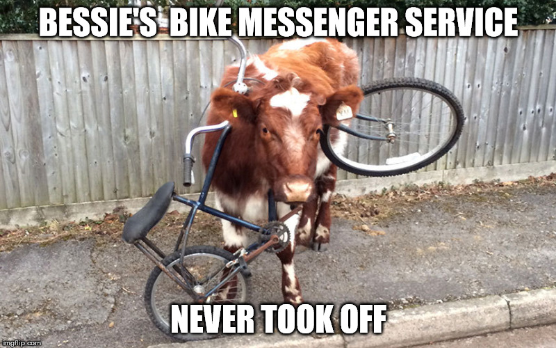 BESSIE'S  BIKE MESSENGER SERVICE NEVER TOOK OFF | made w/ Imgflip meme maker