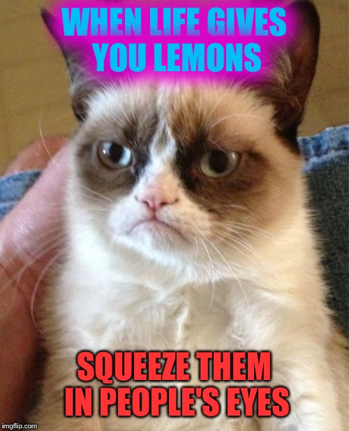 More life coaching from Grumpy Cat | WHEN LIFE GIVES YOU LEMONS; SQUEEZE THEM IN PEOPLE'S EYES | image tagged in memes,grumpy cat,funny | made w/ Imgflip meme maker