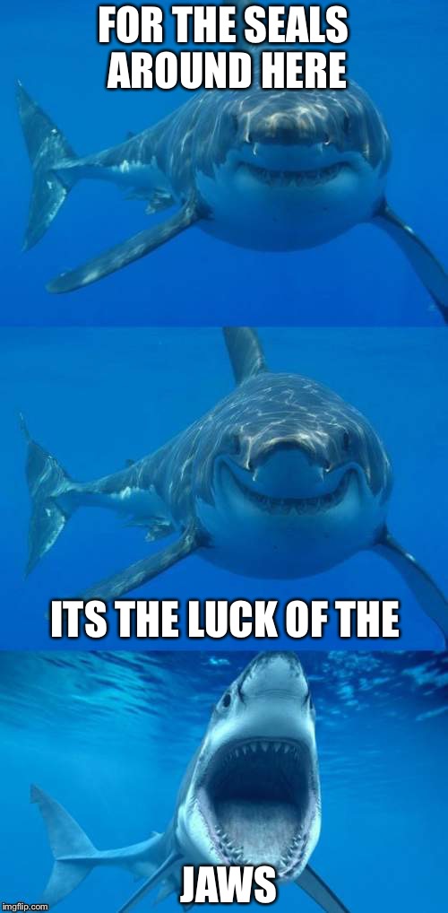 Bad Shark Pun  | FOR THE SEALS AROUND HERE; ITS THE LUCK OF THE; JAWS | image tagged in bad shark pun | made w/ Imgflip meme maker