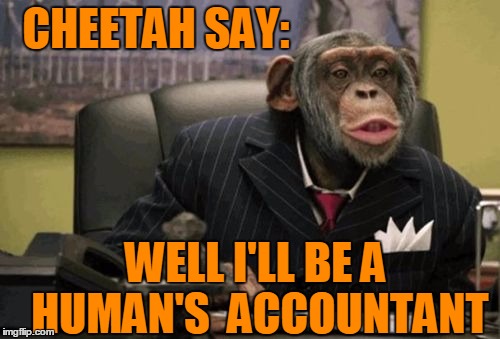 monkey bush | CHEETAH SAY: WELL I'LL BE A HUMAN'S  ACCOUNTANT | image tagged in monkey bush | made w/ Imgflip meme maker