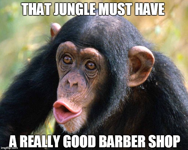 THAT JUNGLE MUST HAVE A REALLY GOOD BARBER SHOP | made w/ Imgflip meme maker