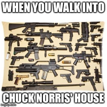 Chuck Norris' completely decorated house | WHEN YOU WALK INTO; CHUCK NORRIS' HOUSE | image tagged in guns | made w/ Imgflip meme maker