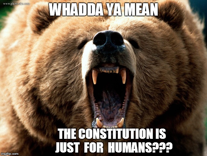 WHADDA YA MEAN THE CONSTITUTION IS  JUST  FOR  HUMANS??? | made w/ Imgflip meme maker