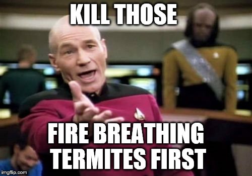 Picard Wtf Meme | KILL THOSE FIRE BREATHING TERMITES FIRST | image tagged in memes,picard wtf | made w/ Imgflip meme maker