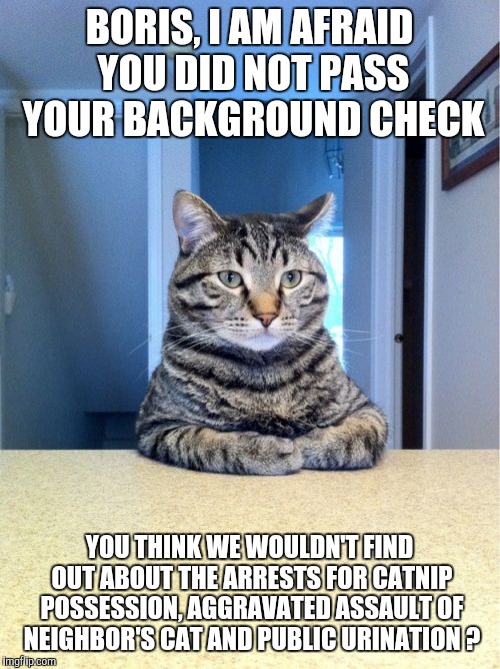 Take A Seat Cat | BORIS, I AM AFRAID YOU DID NOT PASS YOUR BACKGROUND CHECK; YOU THINK WE WOULDN'T FIND OUT ABOUT THE ARRESTS FOR CATNIP POSSESSION, AGGRAVATED ASSAULT OF NEIGHBOR'S CAT AND PUBLIC URINATION ? | image tagged in memes,take a seat cat | made w/ Imgflip meme maker