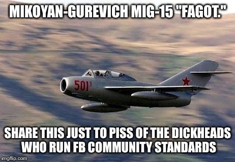 MIKOYAN-GUREVICH MIG-15 "FAGOT."; SHARE THIS JUST TO PISS OF THE DICKHEADS WHO RUN FB COMMUNITY STANDARDS | image tagged in fighter jet | made w/ Imgflip meme maker