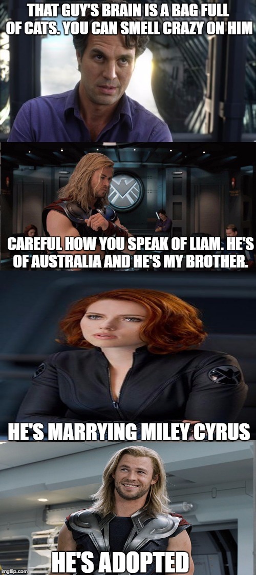 THAT GUY'S BRAIN IS A BAG FULL OF CATS. YOU CAN SMELL CRAZY ON HIM; CAREFUL HOW YOU SPEAK OF LIAM. HE'S OF AUSTRALIA AND HE'S MY BROTHER. HE'S MARRYING MILEY CYRUS; HE'S ADOPTED | image tagged in memes,avengers,bruce banner,black widow,thor,liam and miley | made w/ Imgflip meme maker