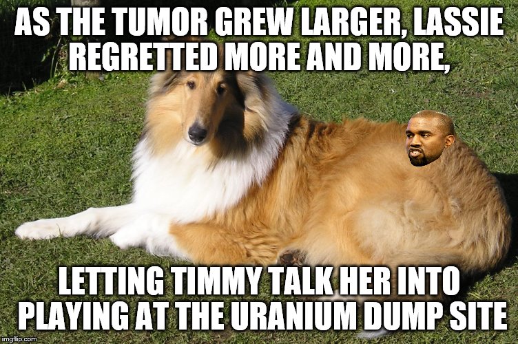 AS THE TUMOR GREW LARGER, LASSIE REGRETTED MORE AND MORE, LETTING TIMMY TALK HER INTO PLAYING AT THE URANIUM DUMP SITE | made w/ Imgflip meme maker