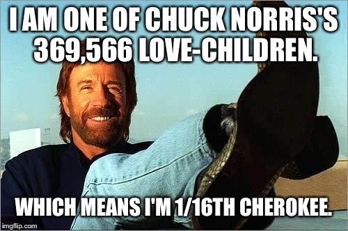 Chuck Norris Says | I AM ONE OF CHUCK NORRIS'S 369,566 LOVE-CHILDREN. WHICH MEANS I'M 1/16TH CHEROKEE. | image tagged in chuck norris says | made w/ Imgflip meme maker