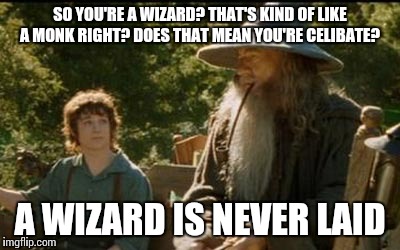 Never Laid | SO YOU'RE A WIZARD? THAT'S KIND OF LIKE A MONK RIGHT? DOES THAT MEAN YOU'RE CELIBATE? A WIZARD IS NEVER LAID | image tagged in lord of the rings,gandalf,fantasy,literature | made w/ Imgflip meme maker