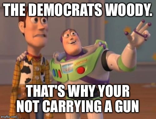 X, X Everywhere | THE DEMOCRATS WOODY. THAT'S WHY YOUR NOT CARRYING A GUN | image tagged in memes,x x everywhere | made w/ Imgflip meme maker