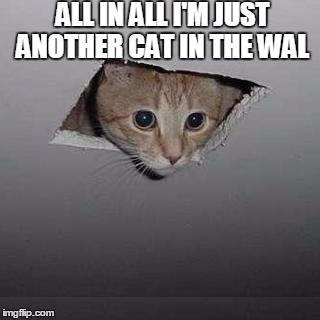 Ceiling Cat Meme | ALL IN ALL I'M JUST ANOTHER CAT IN THE WAL | image tagged in memes,ceiling cat | made w/ Imgflip meme maker