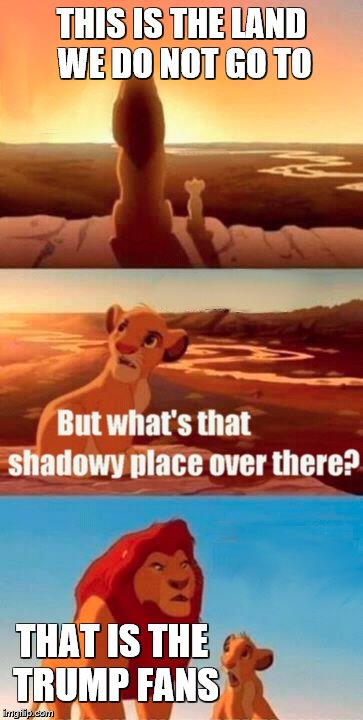 Simba Shadowy Place | THIS IS THE LAND WE DO NOT GO TO; THAT IS THE TRUMP FANS | image tagged in memes,simba shadowy place | made w/ Imgflip meme maker